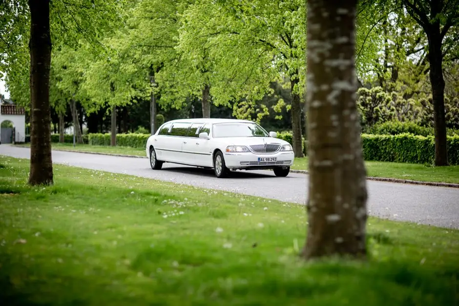 Luxury Car Rentals
